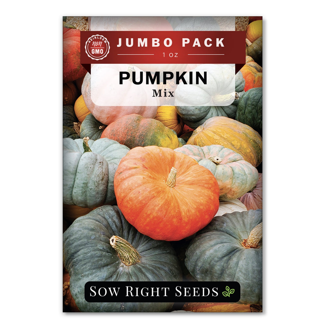 Bulk Pumpkin Seeds for Planting