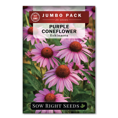 Bulk Purple Coneflower 20 Grams