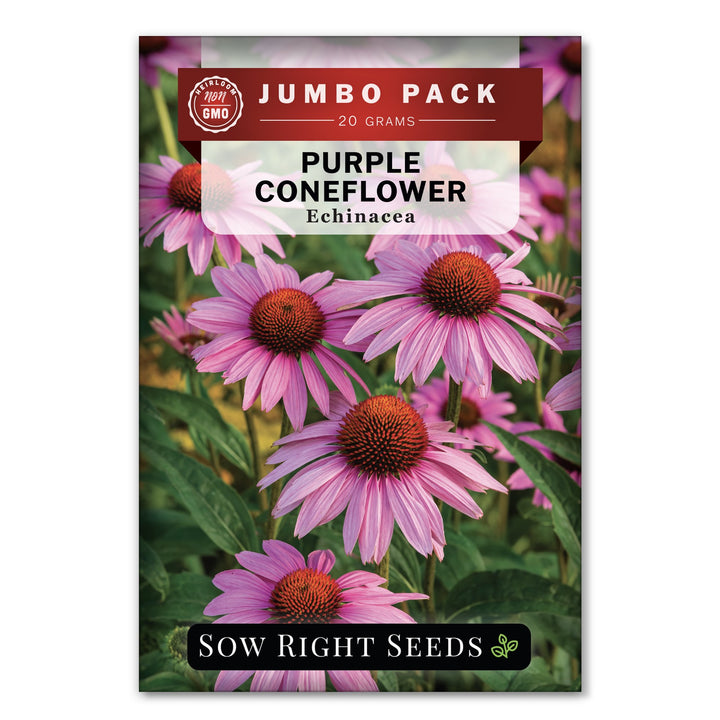 echinacea seeds home depot Sow Right Seeds - Purple Coneflower/Echinacea Flower Seeds for Planting - Non-GMO Heirloom Seed