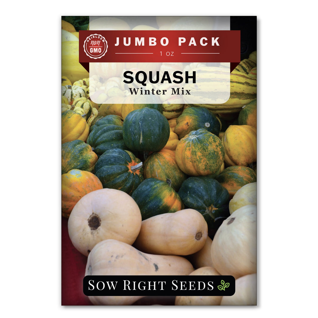 Bulk Delicata Winter Squash Seeds for Planting | Tender & Sweet
