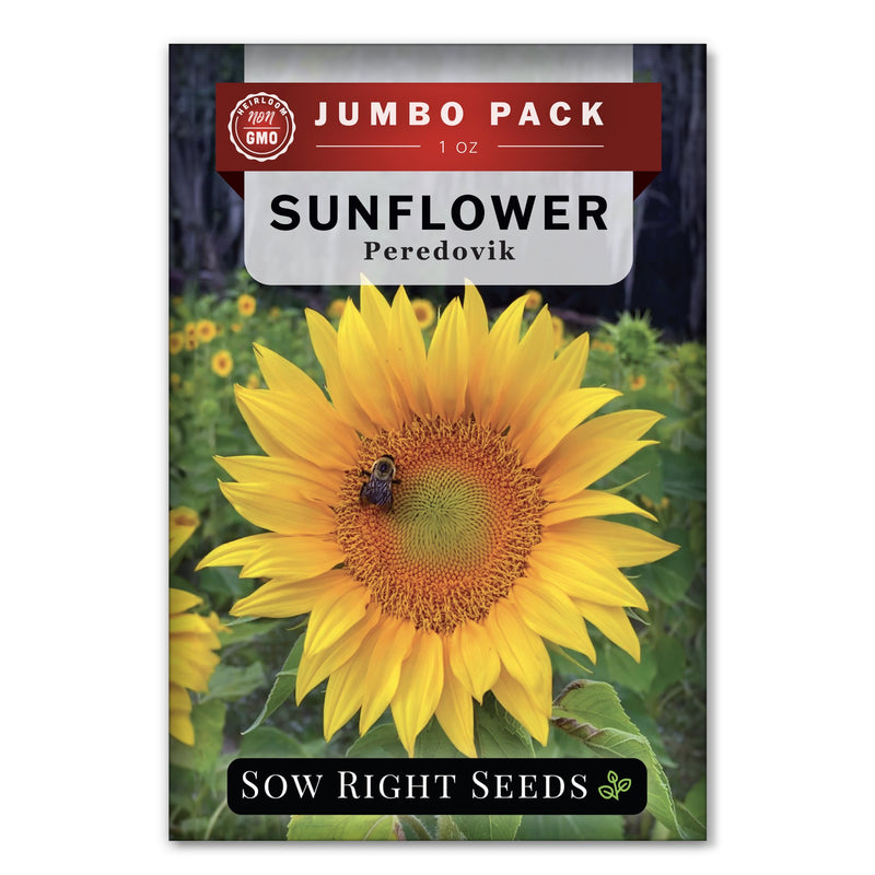Bulk Peredovik Sunflower 1 Ounce