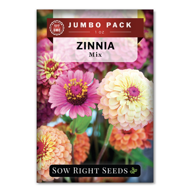 zinnia flower seeds bulk Bulk Zinnia Mix