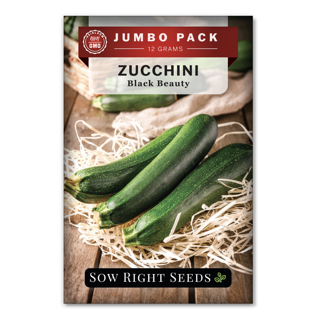 JumboZucchiniBlackBeautyFront_