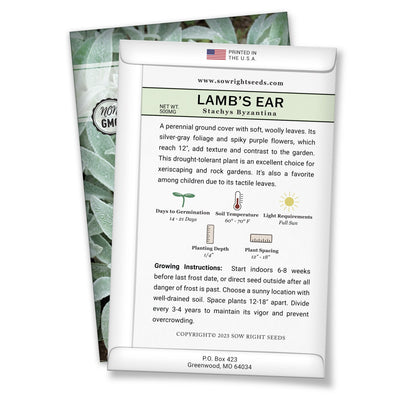 Lamb's Ear