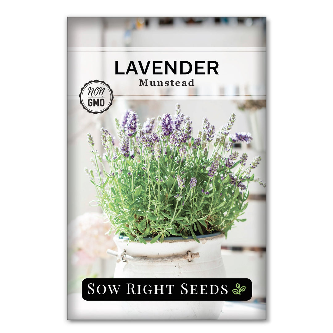 LavenderMunsteadFront_1080x.