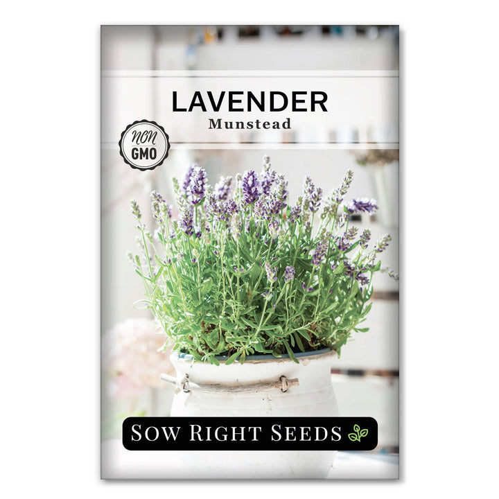LavenderMunsteadFront_720x.jpg