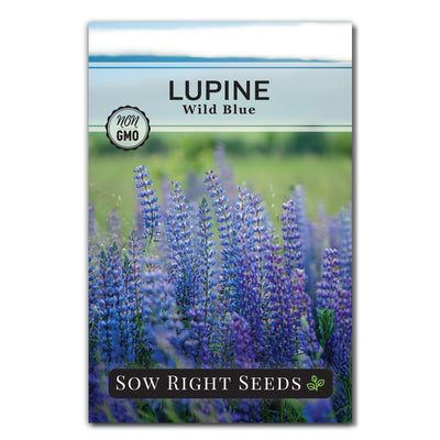 wild blue lupine seed packet flowers sow right seeds