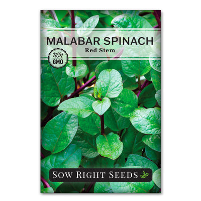 red stem malabar spinach seed packet vegetables sow right seeds