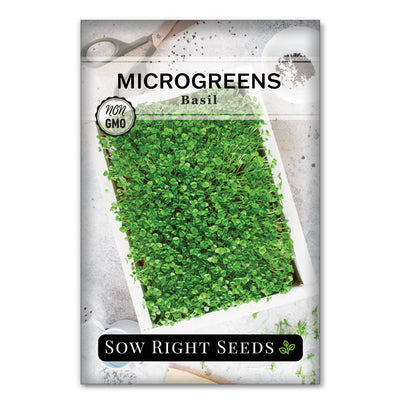 Microgreens Basil