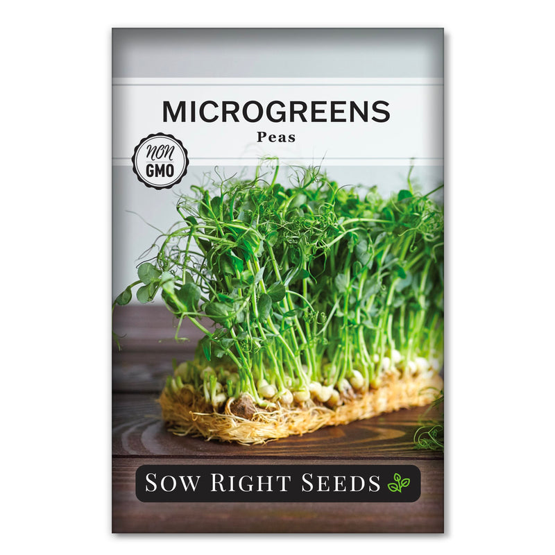 microgreen pea seed packet