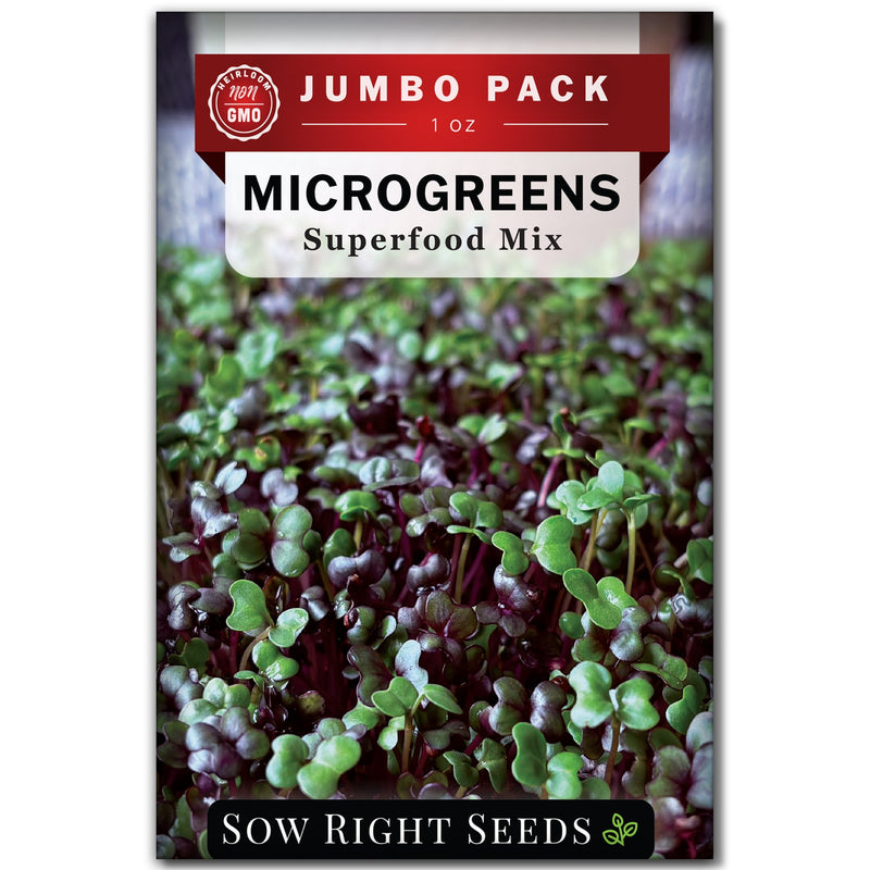 superfood mix microgreens seed packet jumbo pack 1 oz sow right seeds