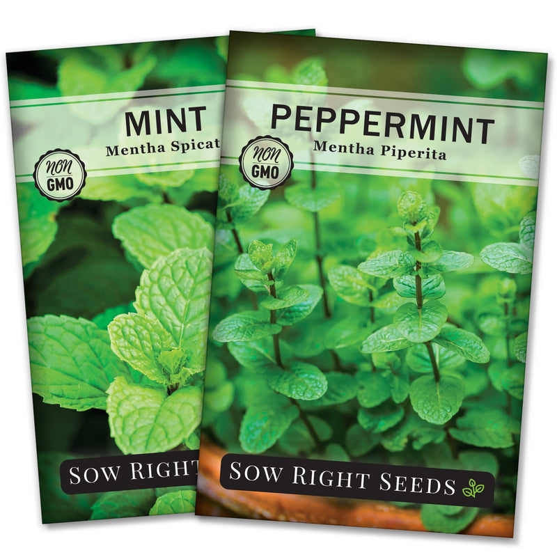 Mint and Peppermint Seed Collection