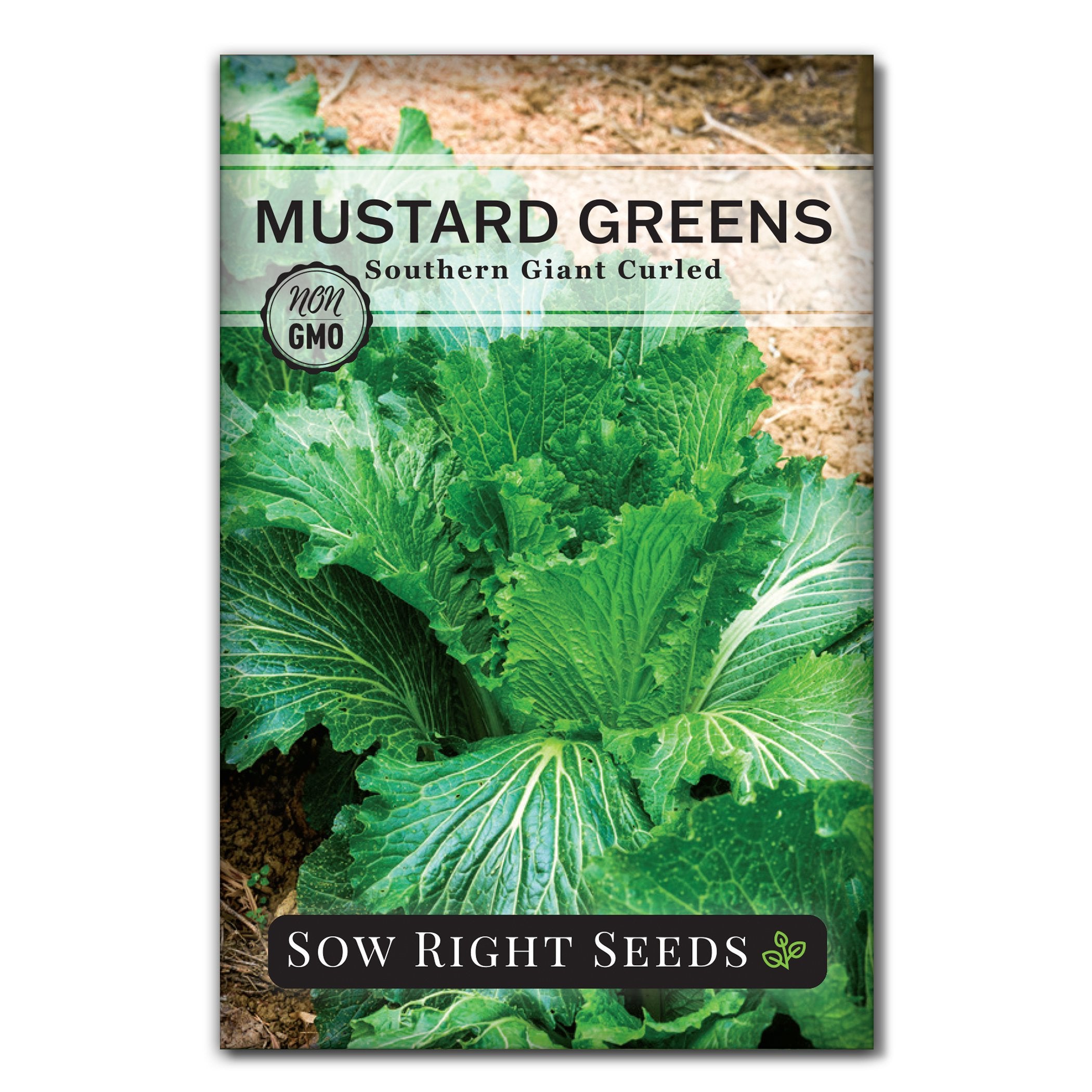 Southern Giant Curled Mustard Greens Seeds | Delicious Veggie – Sow ...