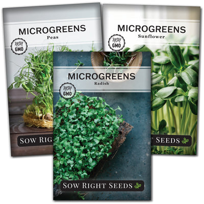 salad microgreens collection containing 3 varieties of seed packets for sale