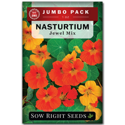 jewel mix nasturtium seed packet 1 oz jumbo pack flowers sow right seeds