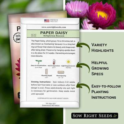 paper daisy seed packet includes variety highlights helpful growing specs easy to follow planting instructions