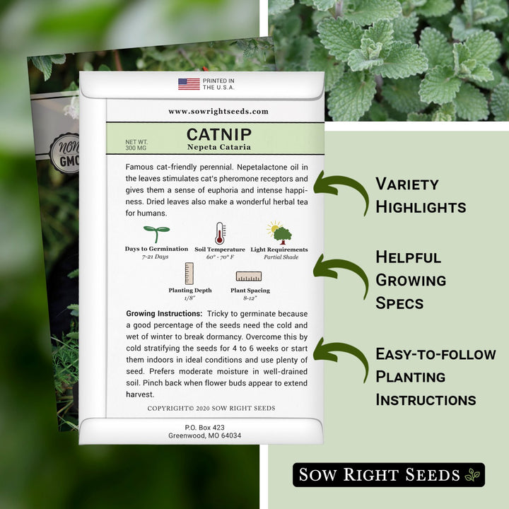 Sow Right Seeds - Catnip Seed for - Popular Herb Will Make Your Cat Happy - Non-GMO Heirloom Seeds - Full Packet Instructions for Easy Growing