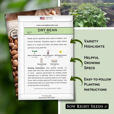 pinto dry bean seed packet features variety highlights helpful growing specs easy to follow planting instructions