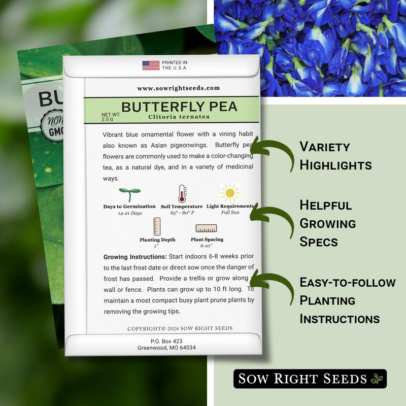 Butterfly Pea Seeds