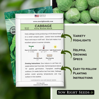 early round dutch cabbage seed packet features variety highlights helpful growing specs easy to follow planting instructions