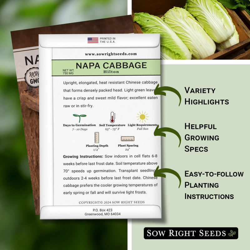 hilton napa cabbage seed packet features variety highlights helpful growing specs easy to follow planting instructions
