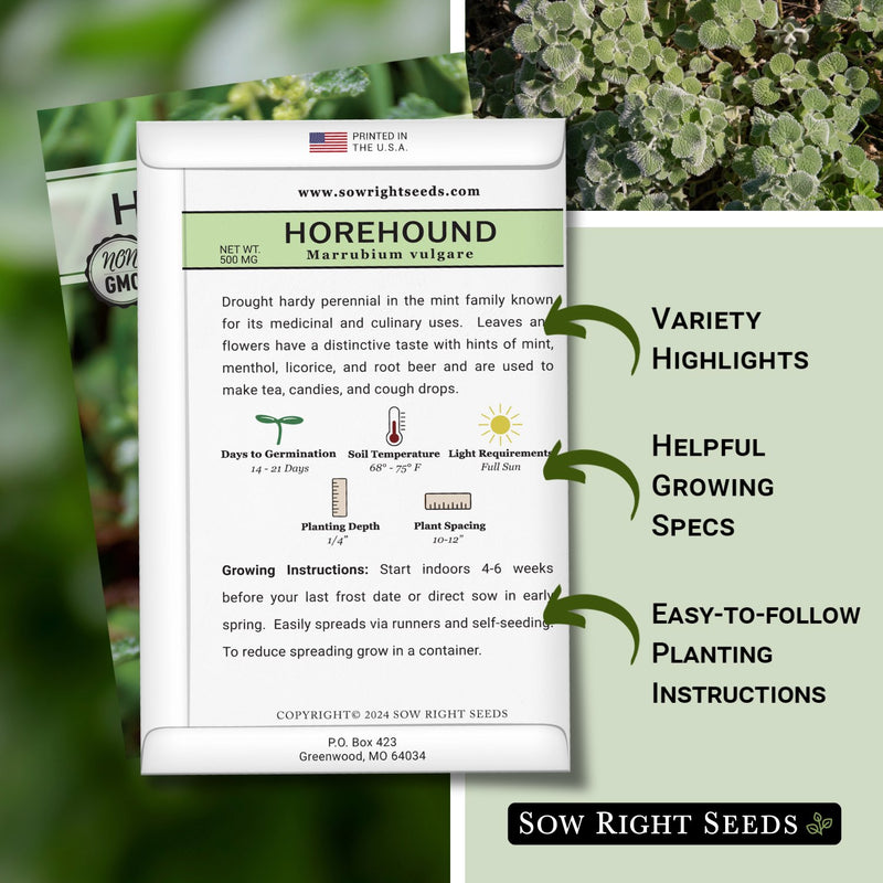 Horehound Seeds