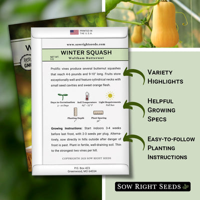 how to grow the best waltham butternut winter squash plants
