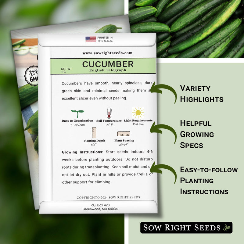 telegraph plant seeds English Telegraph Cucumber Seeds