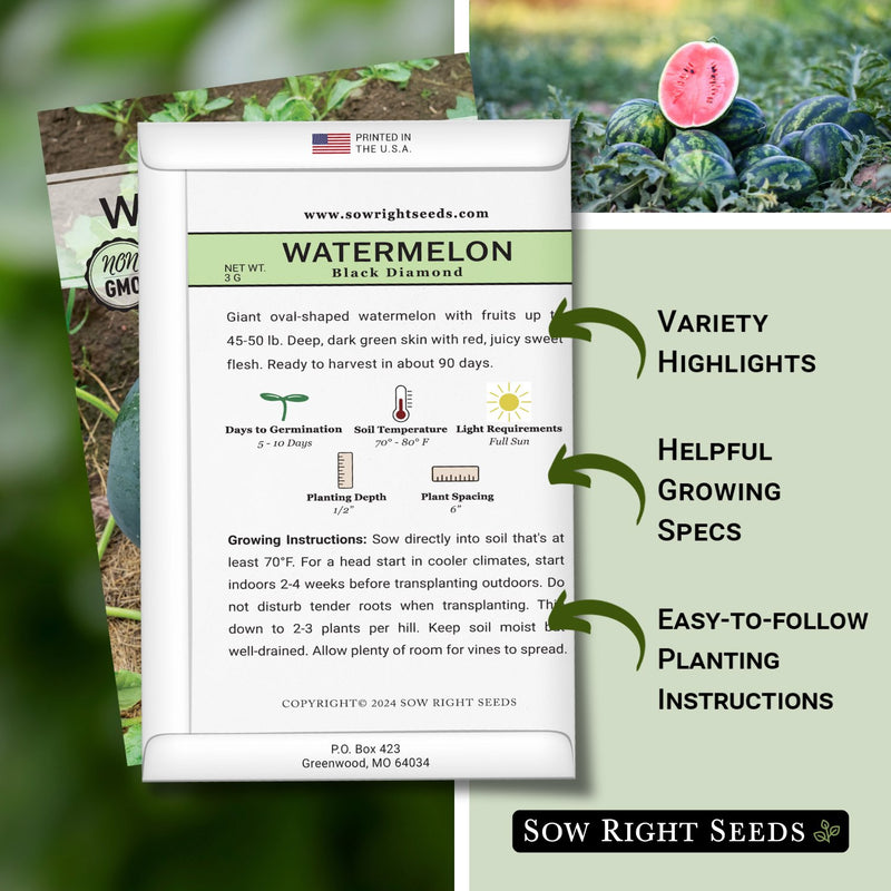 black diamond watermelon seed packet features variety highlights helpful growing specs easy to follow planting instructions