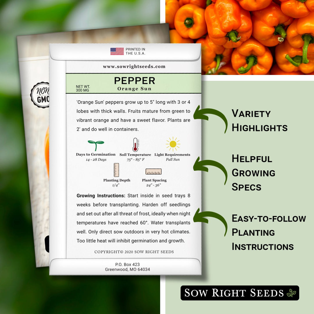 planting orange pepper seeds Orange Sun Pepper Seeds for Planting