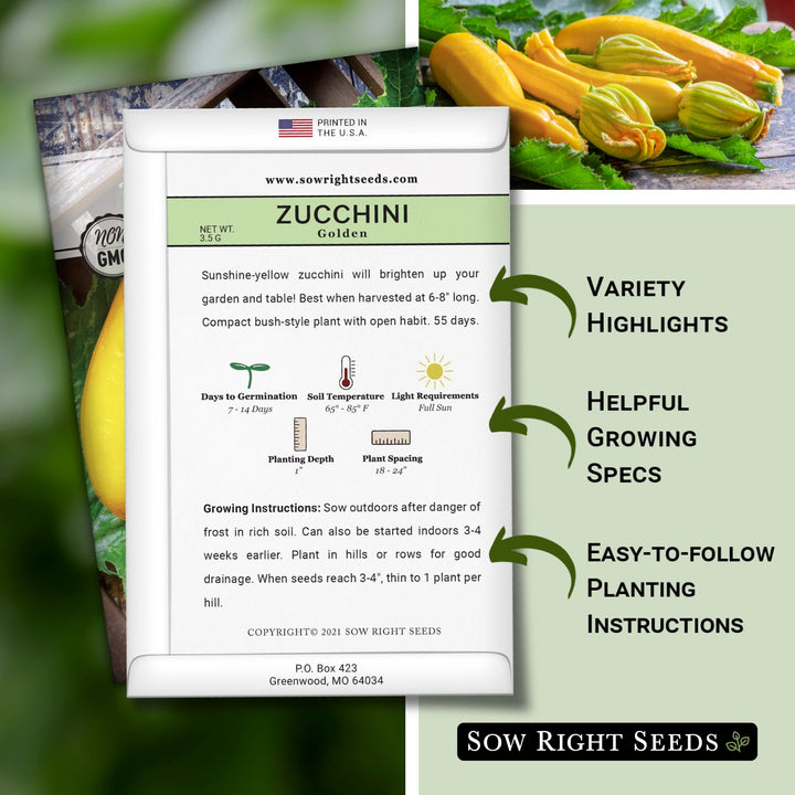 ︎素ㄘゃページ Golden Zucchini Seeds for Planting | Tasty Yellow Squash – Sow