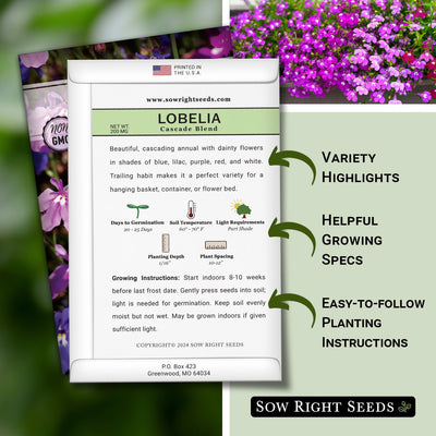 Cascade Blend Lobelia Seeds