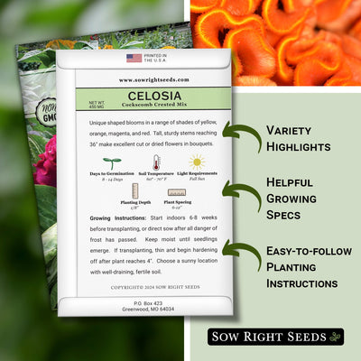 Cockscomb Crested Mix Celosia Seeds