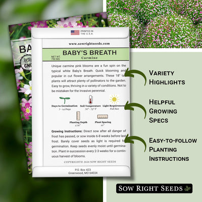 carmine baby's breath seed packet features variety highlights helpful growing specs easy to follow planting instructions