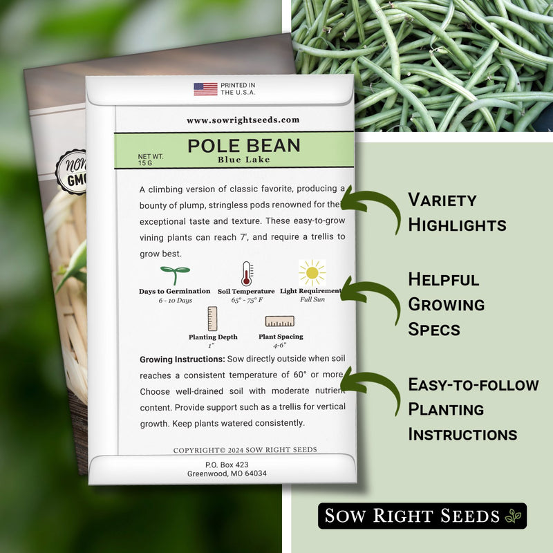blue lake pole bean seed packet features variety highlights helpful growing specs easy to follow planting instructions