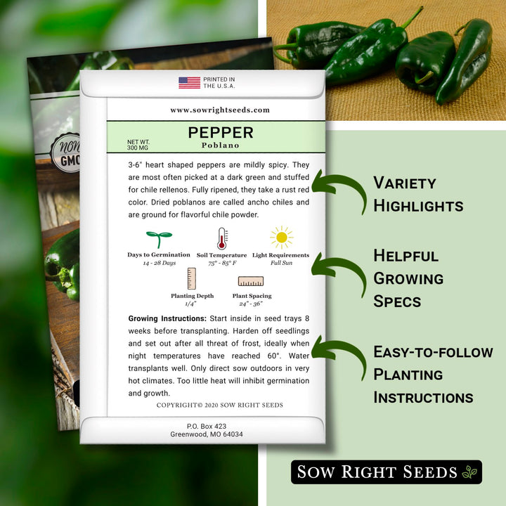 planting poblano pepper seeds Poblano Pepper Seeds