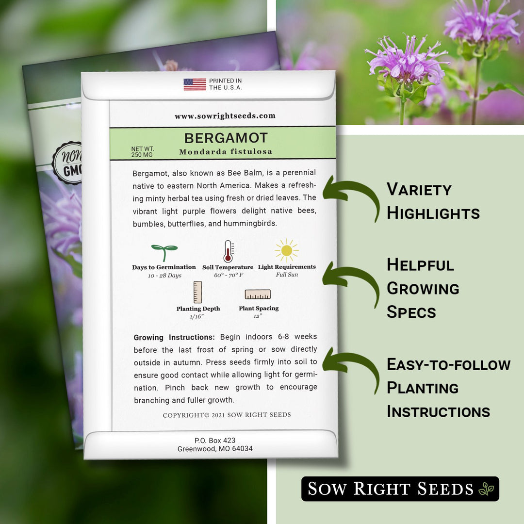 bergamot flower seeds Bergamot Seeds for Planting