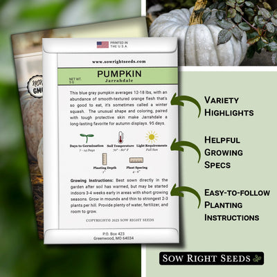 how to grow the best jarrahdale pumpkin seeds for sale