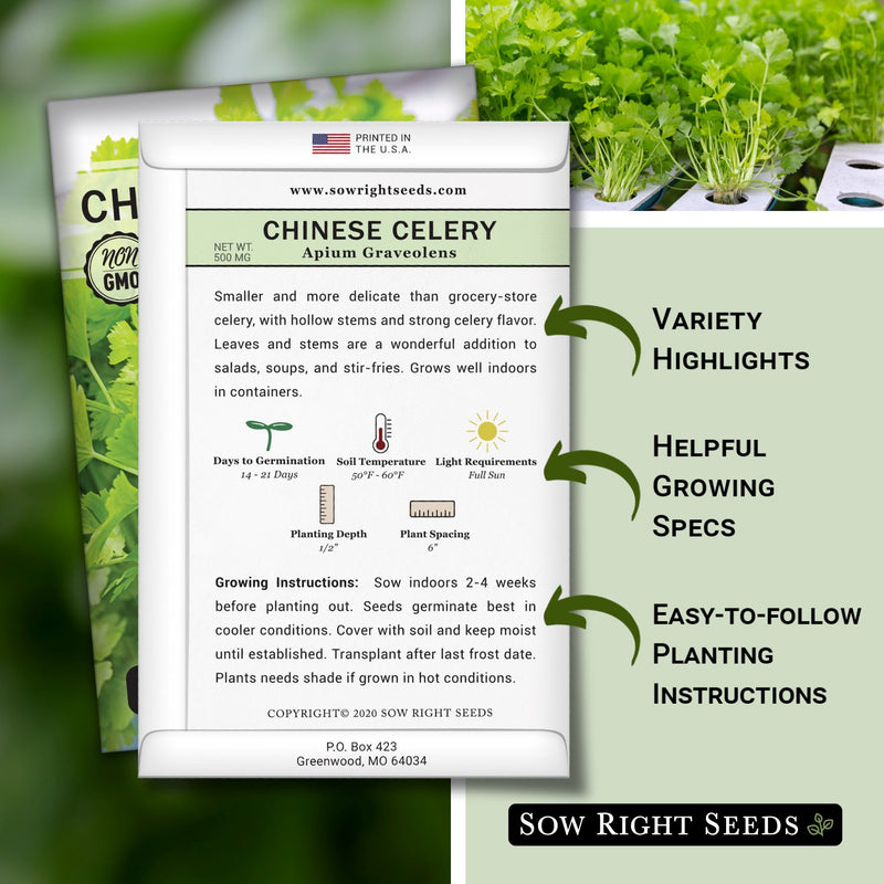 Chinese Celery