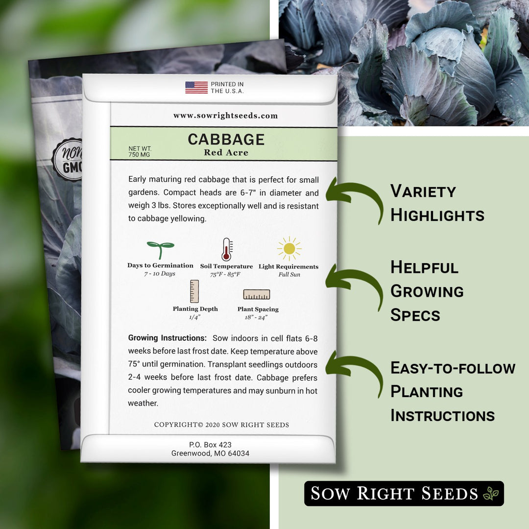 What Was The Date 75 Days Ago Date Weeks Ago