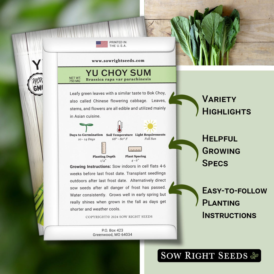 asian seeds for planting Yu Choy Sum Seeds