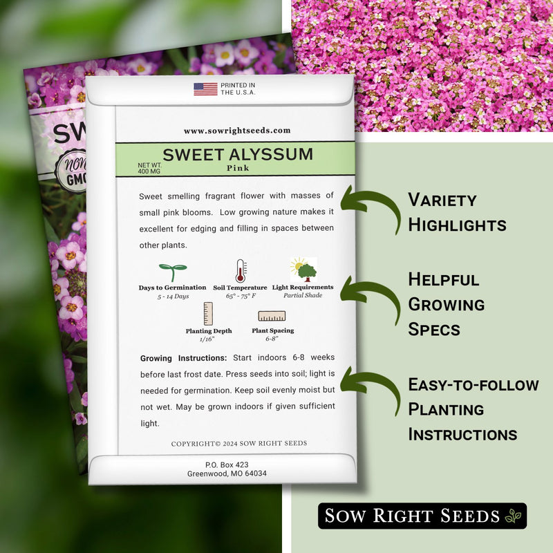 pink sweet alyssum seed packet includes variety highlights helpful growing specs easy to follow planting instructions