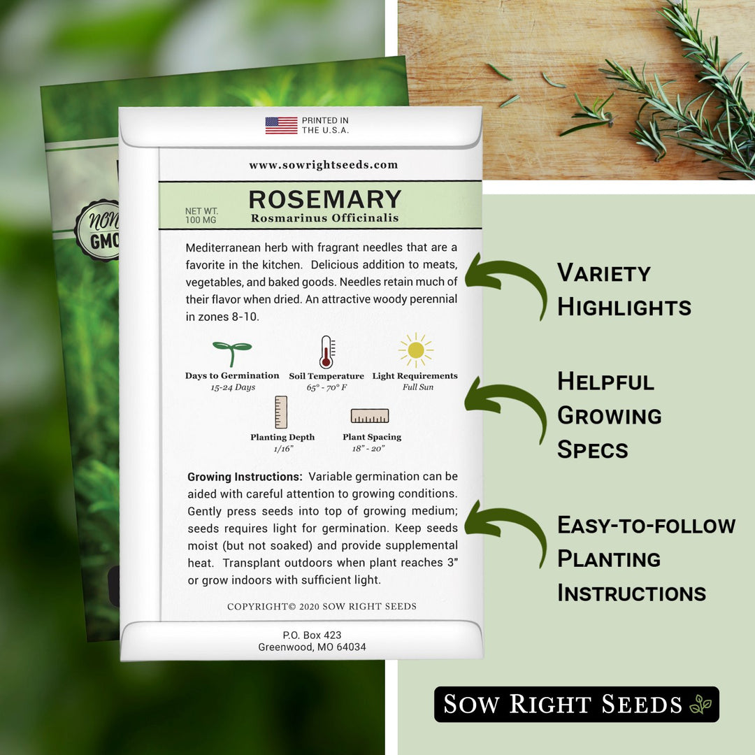 Rosemary Seeds