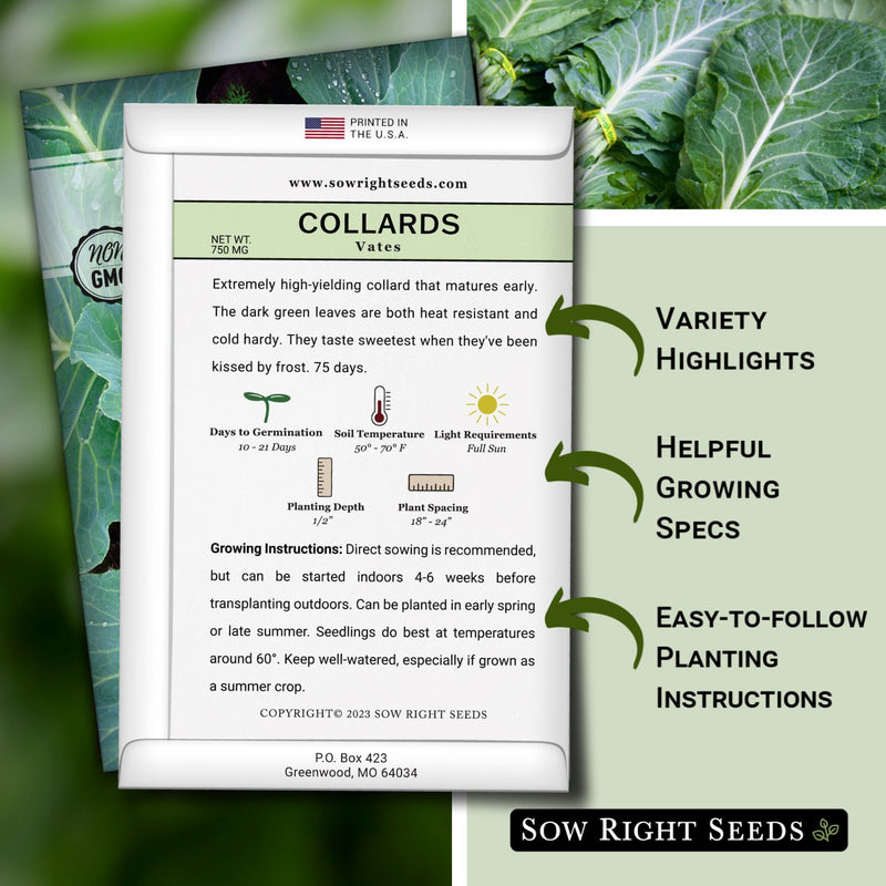 how to grow the best collards plants