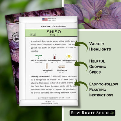 Purple Shiso Seeds