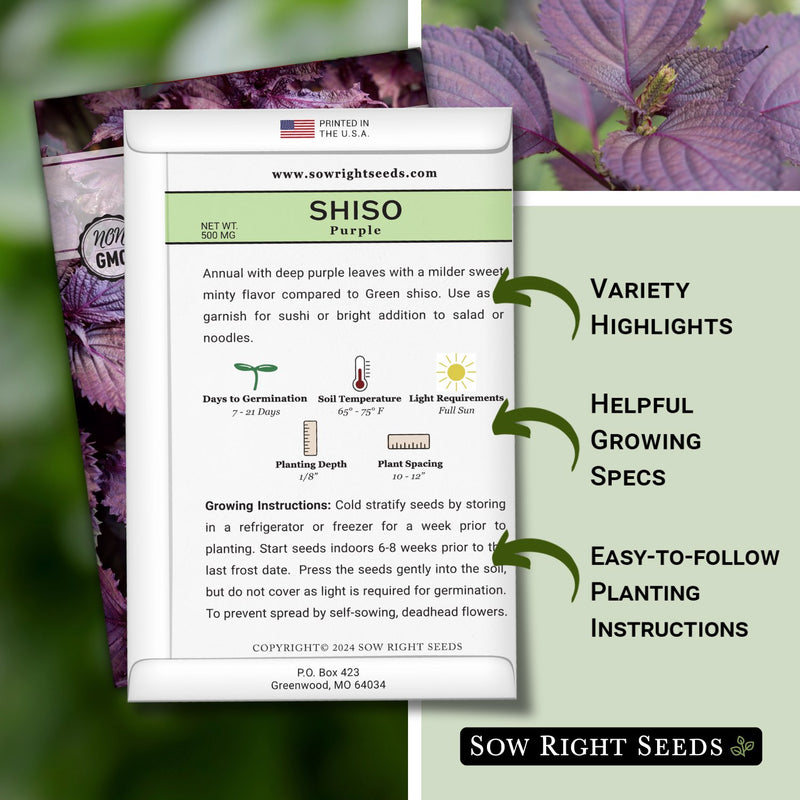 Purple Shiso Seeds