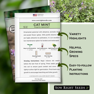 Cat Mint Seeds