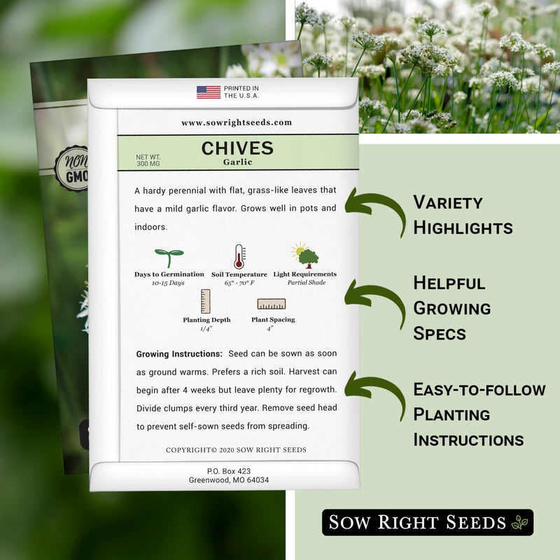 chive seed planting instructions Garlic Chives