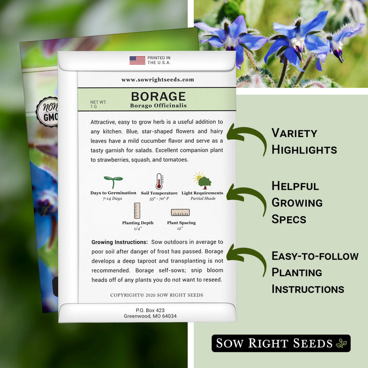 Borage Seeds