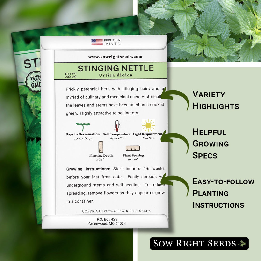 nettle seeds for planting Stinging Nettle Seeds